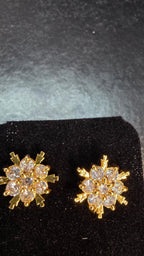 Panchaloham Earing D20